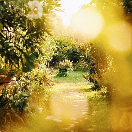 The Artist'S Farm Βίλα Διγελιώτικα Εξωτερικό φωτογραφία