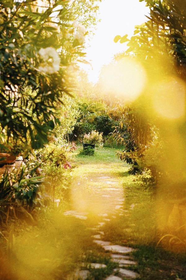 The Artist's Farm * Dhiyeliotika
