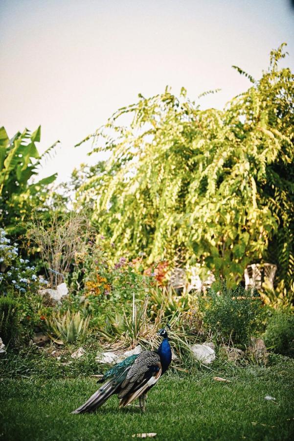 Сasa de vacaciones The Artist's Farm *
