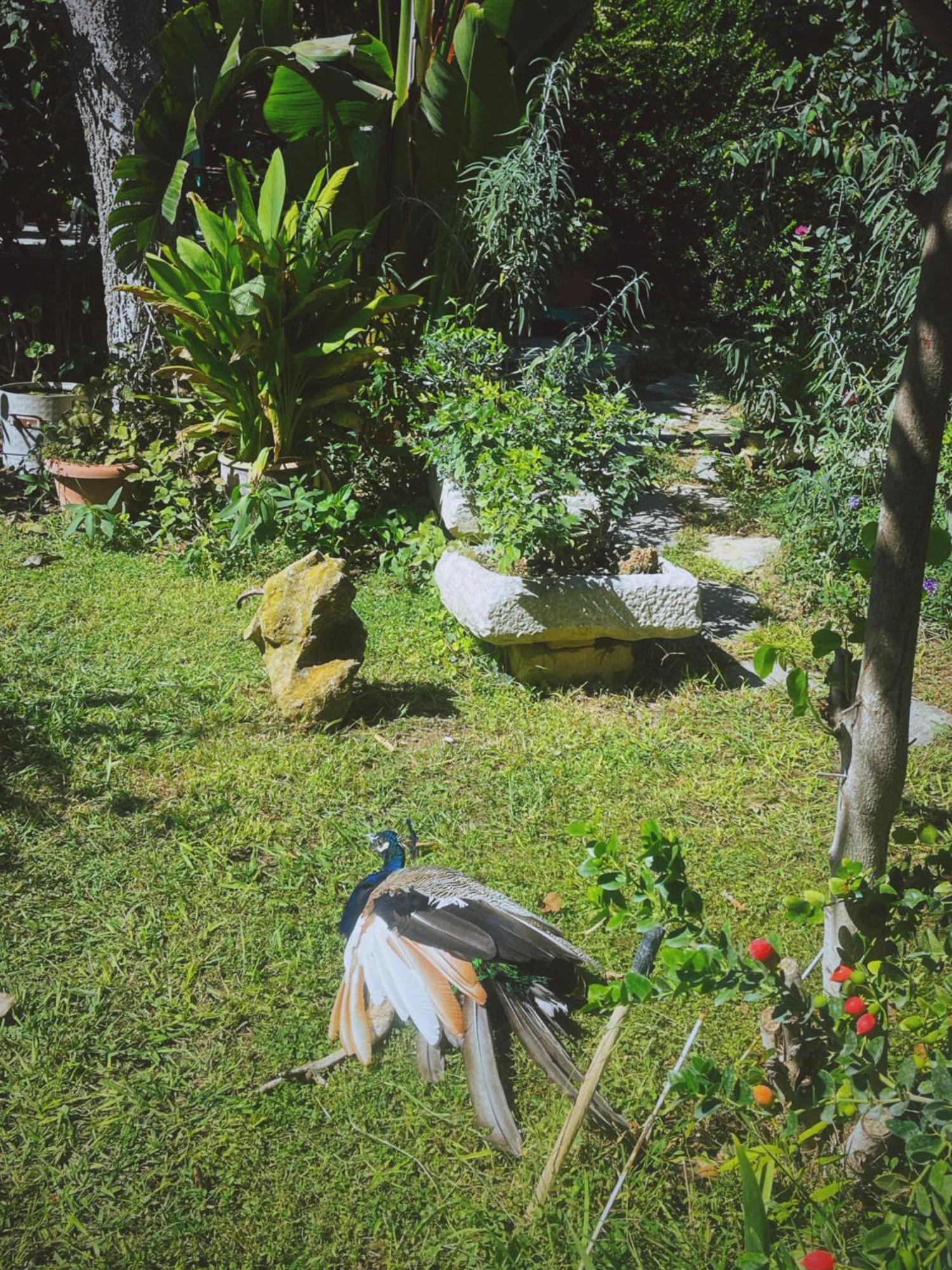 The Artist's Farm Case de vacanță *